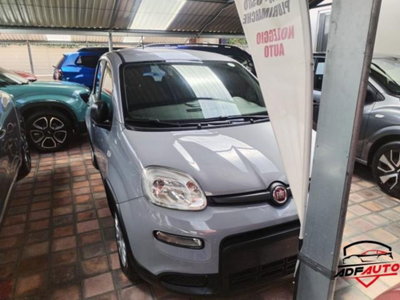 Fiat Panda 1.0 FireFly S&S Hybrid usata