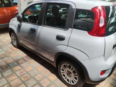 Fiat Panda 1.0 FireFly S&S Hybrid (5)