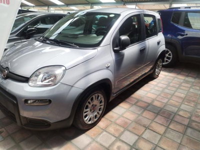 Fiat Panda 1.0 FireFly S&S Hybrid (6)