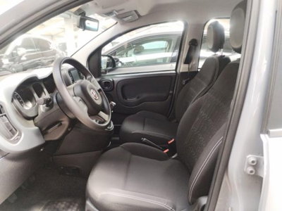Fiat Panda 1.0 FireFly S&S Hybrid (7)