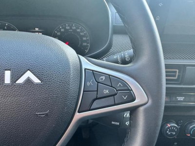Dacia Sandero Stepway 1.0 tce Extreme Eco-g 100cv (15)