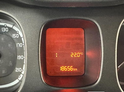 Fiat Panda Cross Cross 1.0 FireFly S&S Hybrid (19)