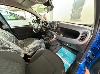 Fiat Panda Cross Cross 1.0 FireFly S&S Hybrid (8)