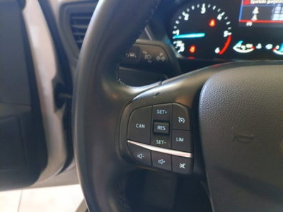 Ford Focus Station Wagon 1.5 EcoBlue 120 CV automatico SW Business (12)
