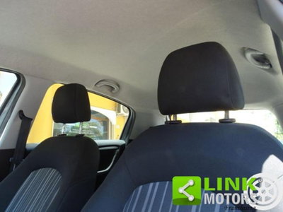 Fiat Punto Evo 1.2 5 porte Active (12)