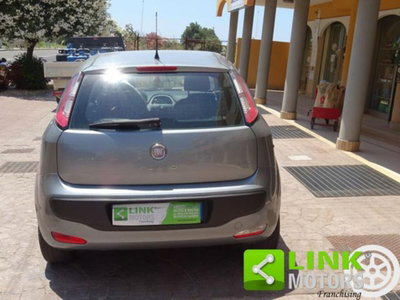 Fiat Punto Evo 1.2 5 porte Active (5)