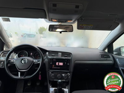Volkswagen Golf 1.6 TDI 115 CV 5p. Business BlueMotion Technology (5)