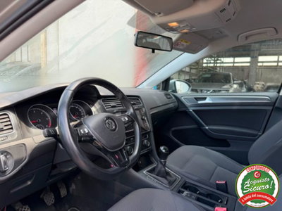 Volkswagen Golf 1.6 TDI 115 CV 5p. Business BlueMotion Technology (6)