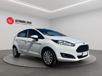 Ford Fiesta 1.2 60CV 5p. Tit. (2)