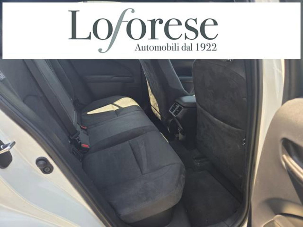 Lexus UX Hybrid Business (10)