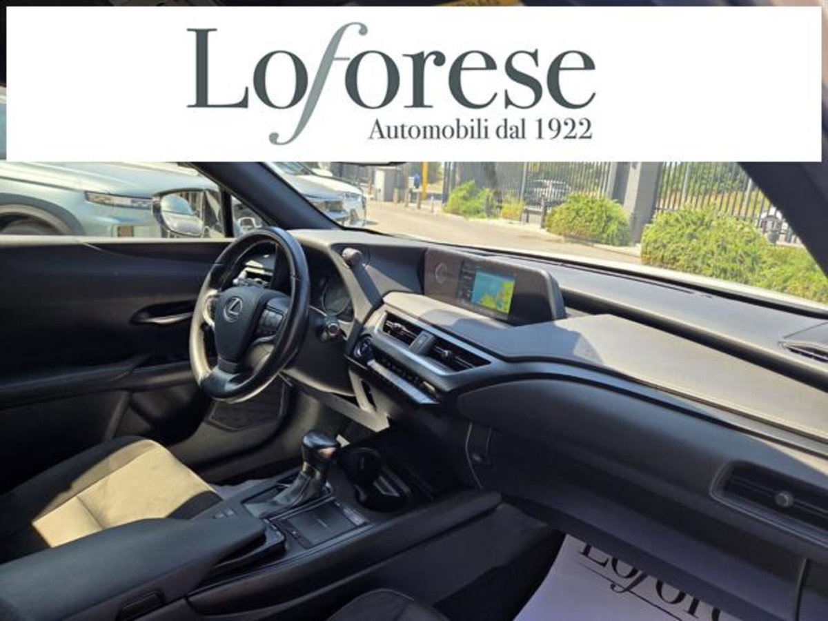 Lexus UX Hybrid Business (11)