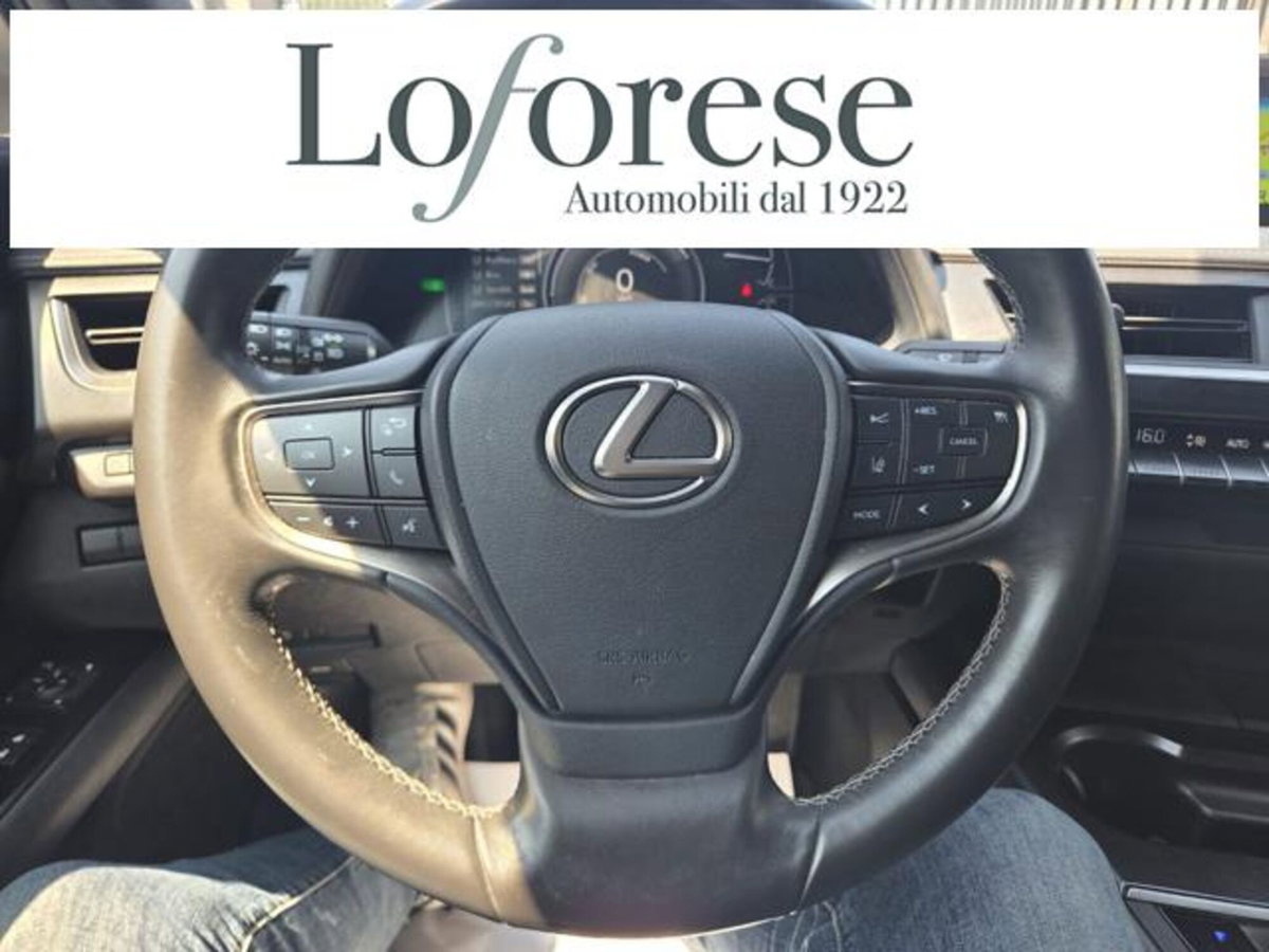 Lexus UX Hybrid Business (13)