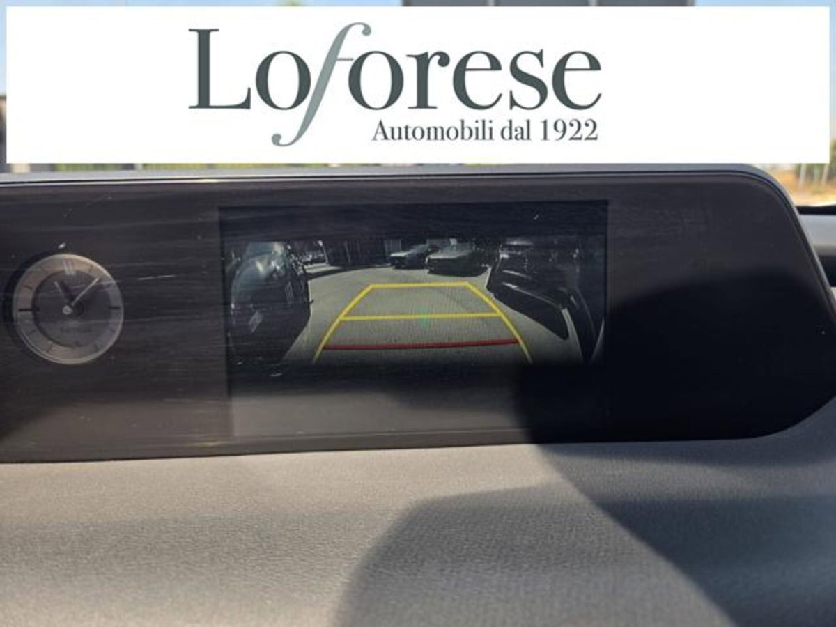 Lexus UX Hybrid Business (14)