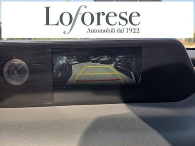 Lexus UX Full Electric Premium (14)