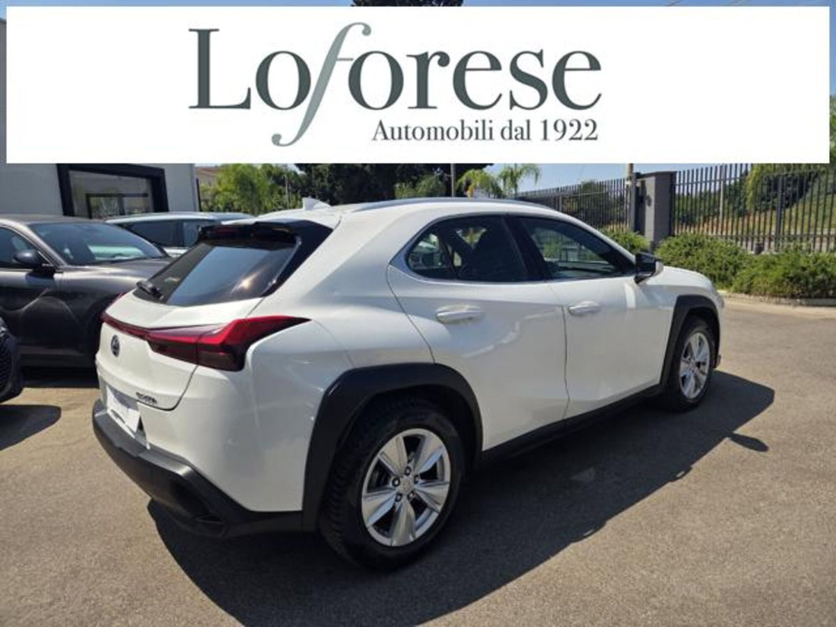 Lexus UX Hybrid Business (17)