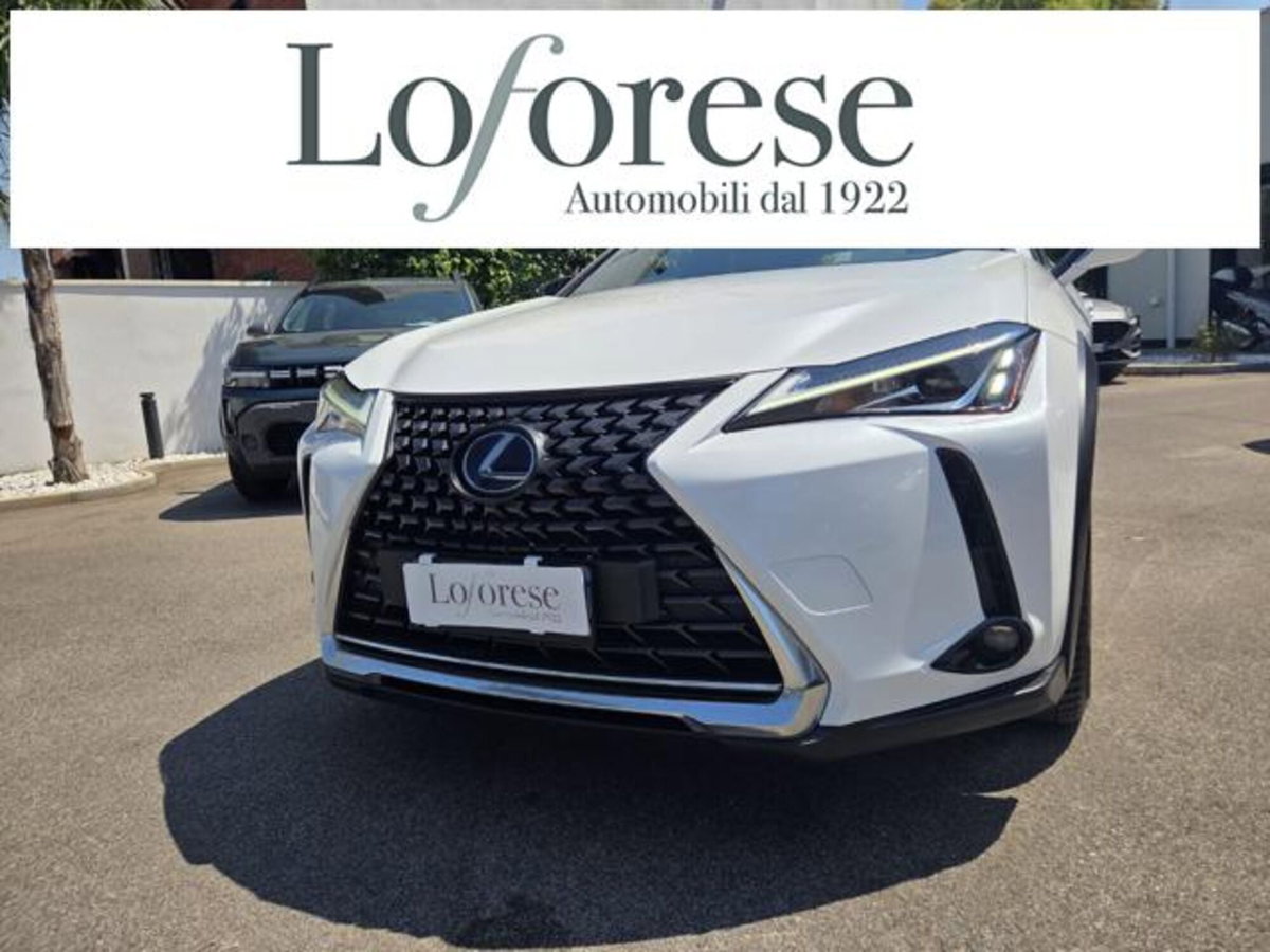 Lexus UX Hybrid Business (2)