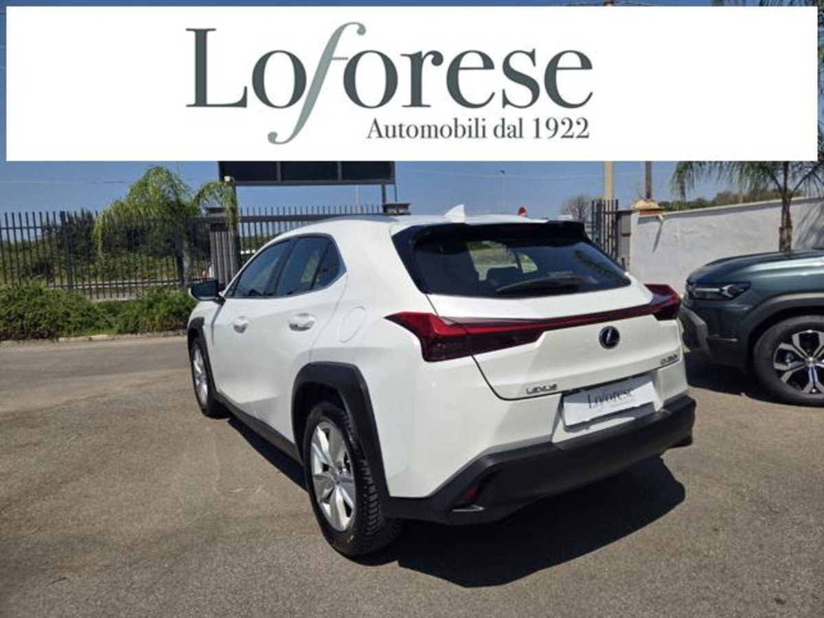 Lexus UX Hybrid Business (3)