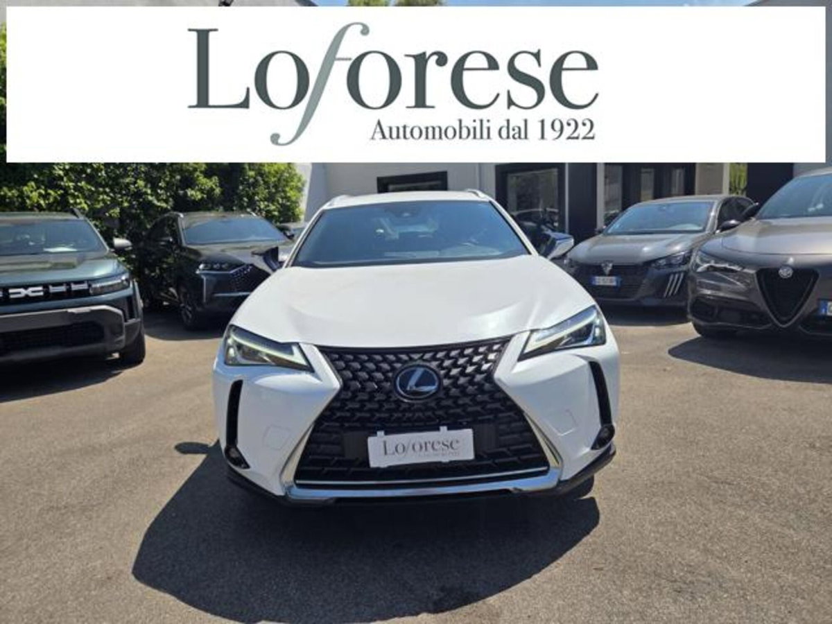Lexus UX Hybrid Business (4)