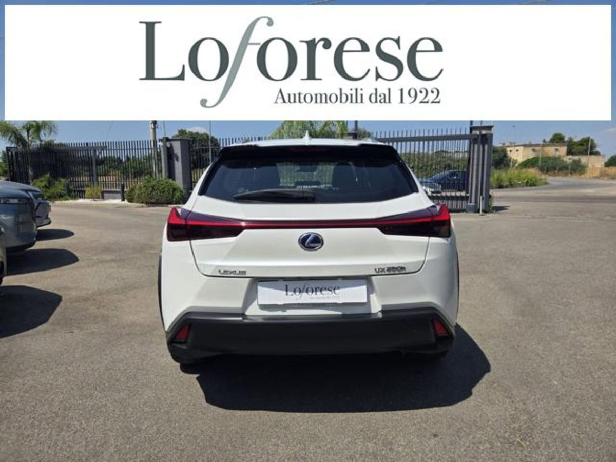 Lexus UX Hybrid Business (5)