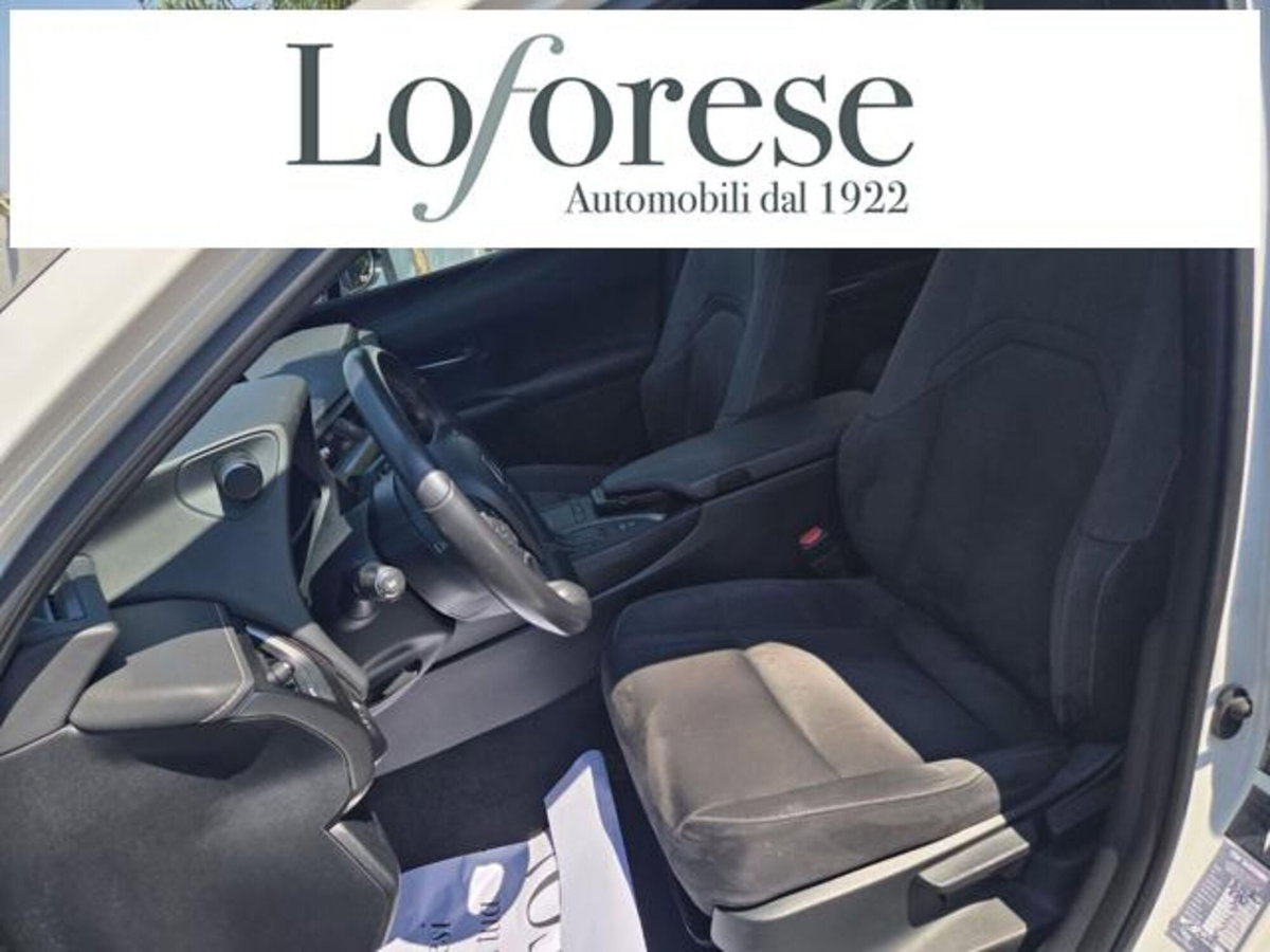Lexus UX Hybrid Business (7)