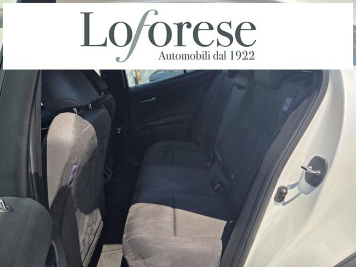Lexus UX Hybrid Business (8)