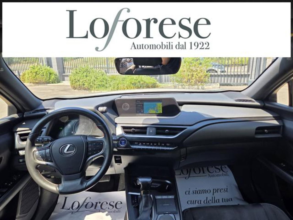 Lexus UX Hybrid Business (9)