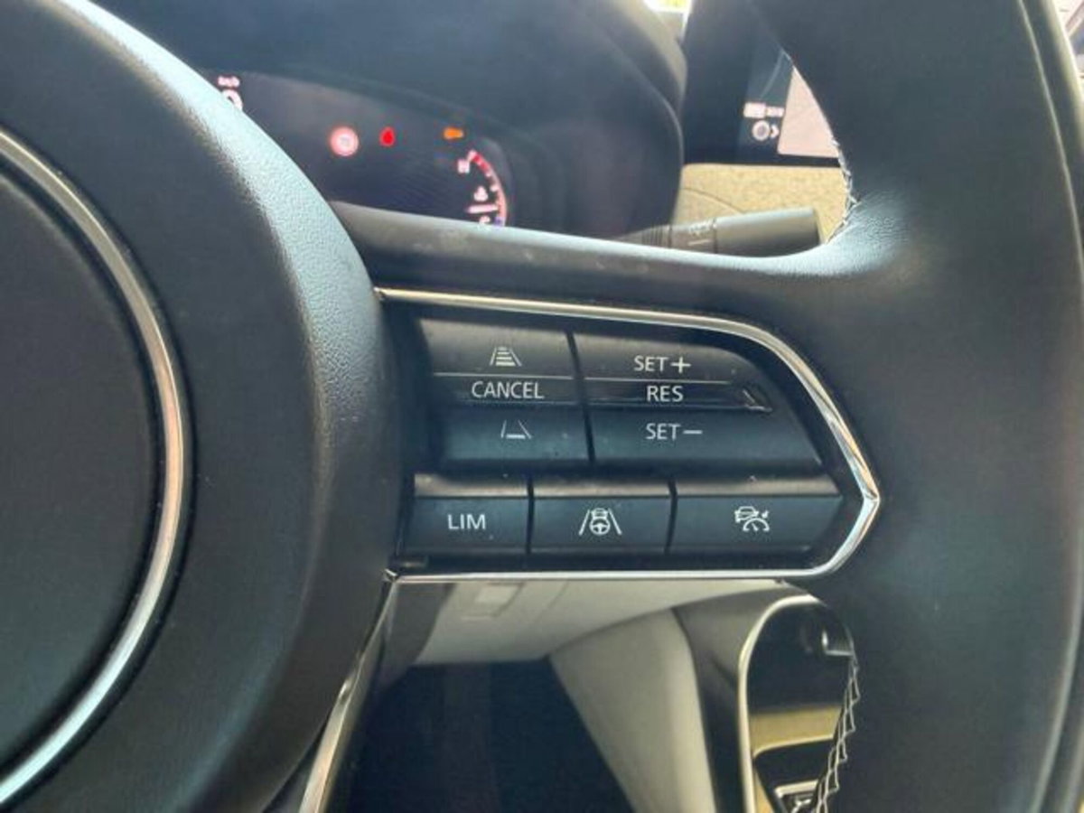 Mazda CX-60 3.3L e-Skyactiv D 249 CV M Hybrid AWD Takumi (13)