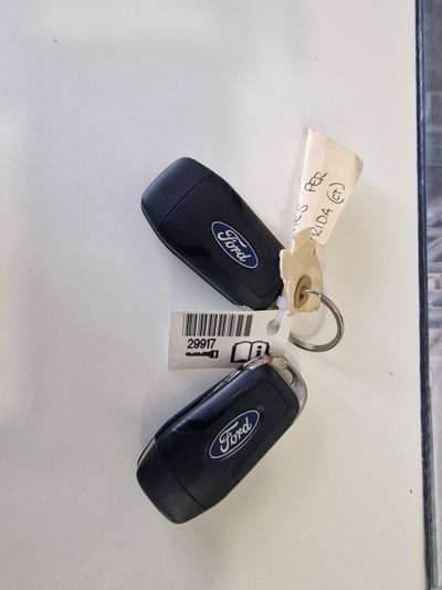 Ford Focus Station Wagon 1.5 EcoBlue 120 CV automatico SW Business (16)