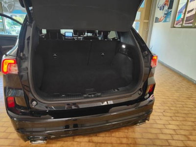 Ford Kuga 2.5 full hybrid ST-Line X 4wd 183cv auto (13)