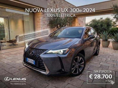 Lexus UX Full Electric Luxury usata