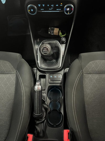 Ford Fiesta Active 1.0 Ecoboost 100 CV (15)