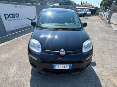 Fiat Panda 1.2 Easy usata