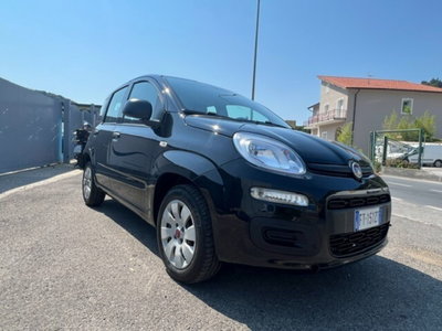 Fiat Panda 1.2 Easy (3)