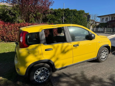 Fiat Panda Cross Cross 1.0 FireFly S&S Hybrid (3)