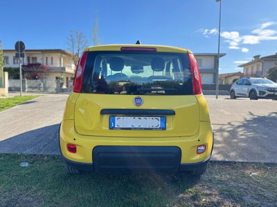 Fiat Panda Cross Cross 1.0 FireFly S&S Hybrid (4)