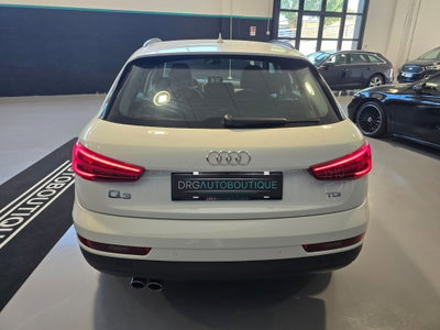 Audi Q3 2.0 TDI 120 CV Business (6)