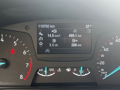 Ford Fiesta Active 1.0 Ecoboost 125 CV Start&Stop (10)