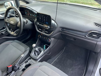 Ford Fiesta Active 1.0 Ecoboost 125 CV Start&Stop (14)