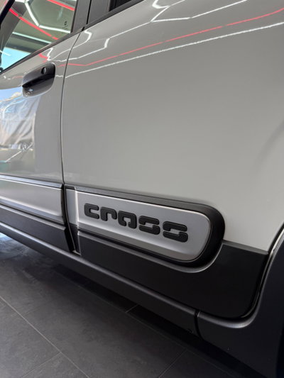 Fiat Panda Cross Cross 1.3 MJT 95 CV S&S 4x4 (20)