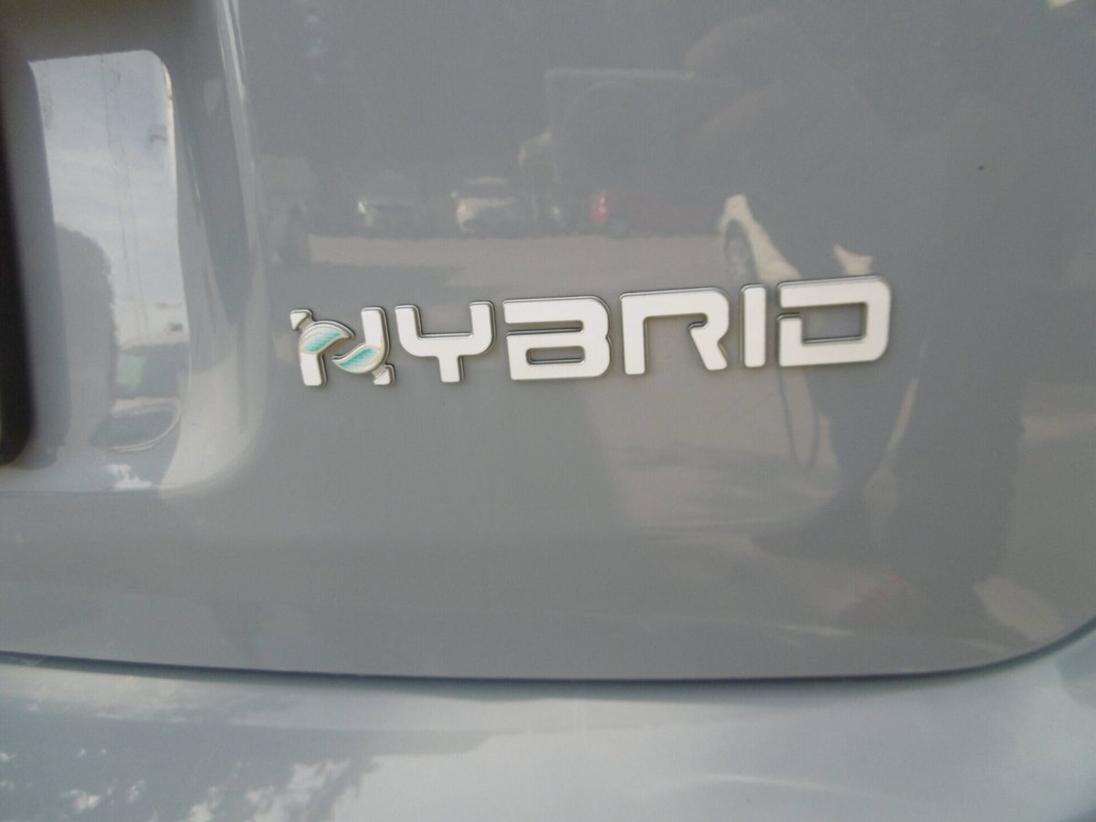 Fiat Panda 1.0 FireFly S&S Hybrid (16)