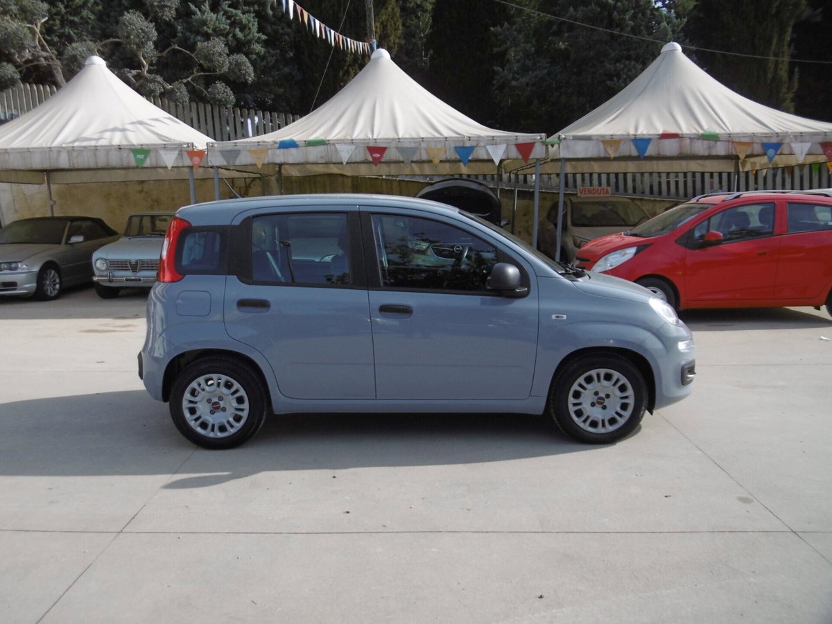 Fiat Panda 1.0 FireFly S&S Hybrid (4)
