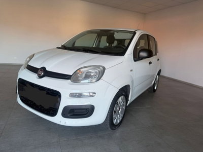 Fiat Panda 1.2 Easy usata