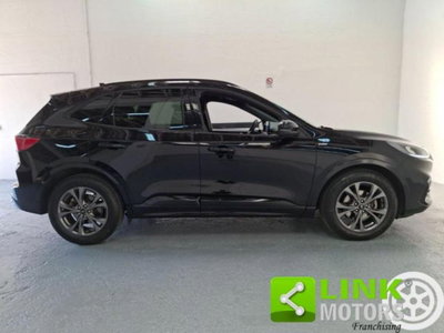 Ford Kuga 1.5 EcoBlue 120 CV 2WD ST-Line (14)