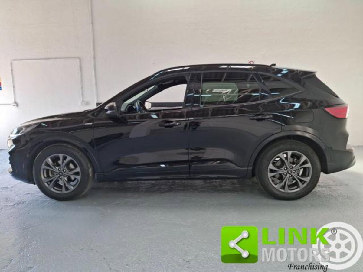 Ford Kuga 1.5 EcoBlue 120 CV 2WD ST-Line (15)