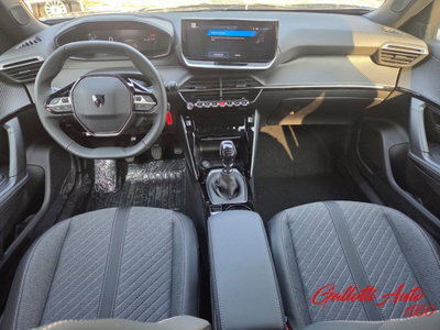 Peugeot 2008 1.2 turbo Allure 100cv (8)
