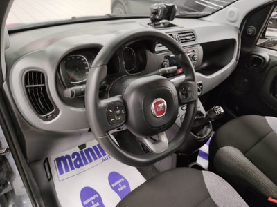 Fiat Panda 1.0 FireFly S&S Hybrid City Cross (8)