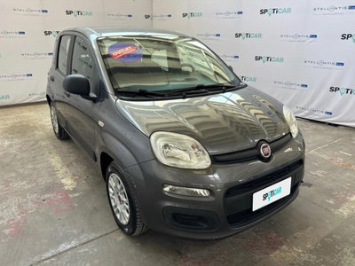 Fiat Panda 1.2 Easy usata