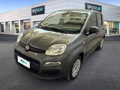 Fiat Panda 1.2 Easy (2)