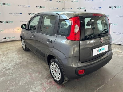 Fiat Panda 1.2 Easy (3)