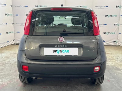 Fiat Panda 1.2 Easy (4)